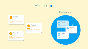 Portfolio Project 1